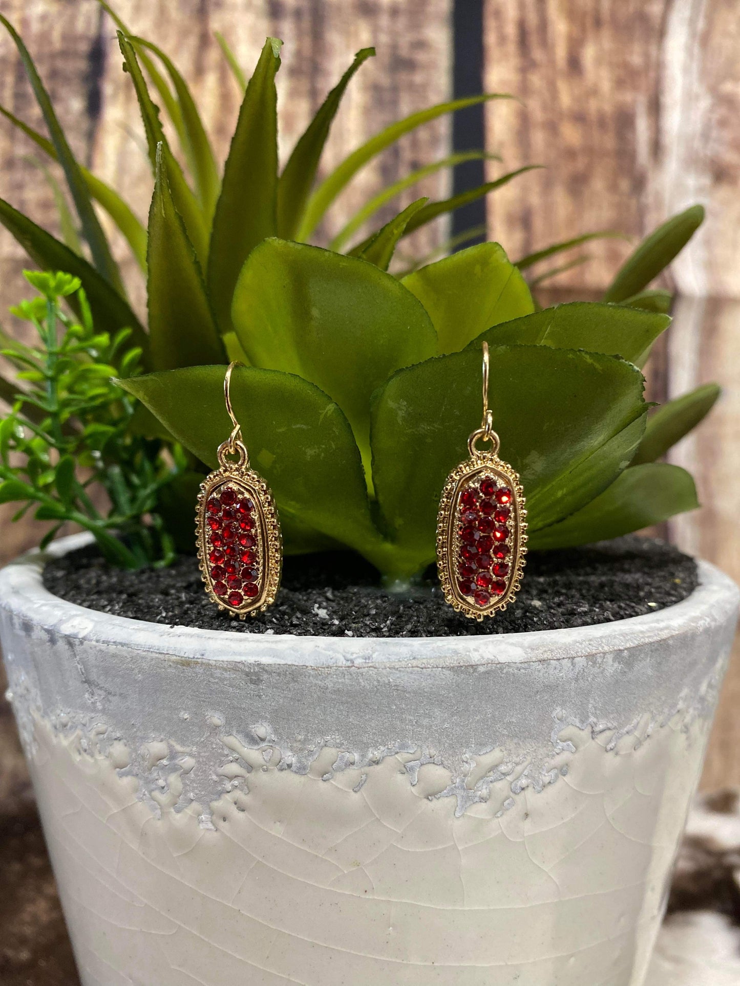 HOOK EARRINGS (Small)